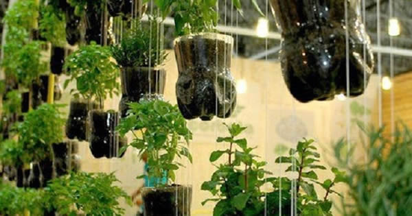 Escada Iluminada com Mini Hortaliças: Um Espetáculo Noturno - inspiração 3