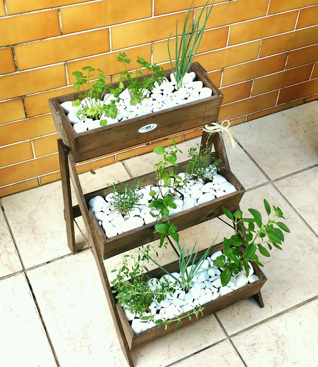 Mini Selva Urbana com Folhagens Exóticas: Um Oasis Particular - inspiração 1