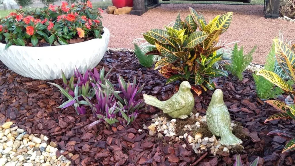 Excesso de Adubação: Menos é Mais! - inspiração 3