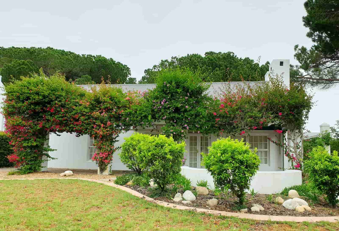 Não Acompanhar o pH do Solo: Ajuste Vital - inspiração 2