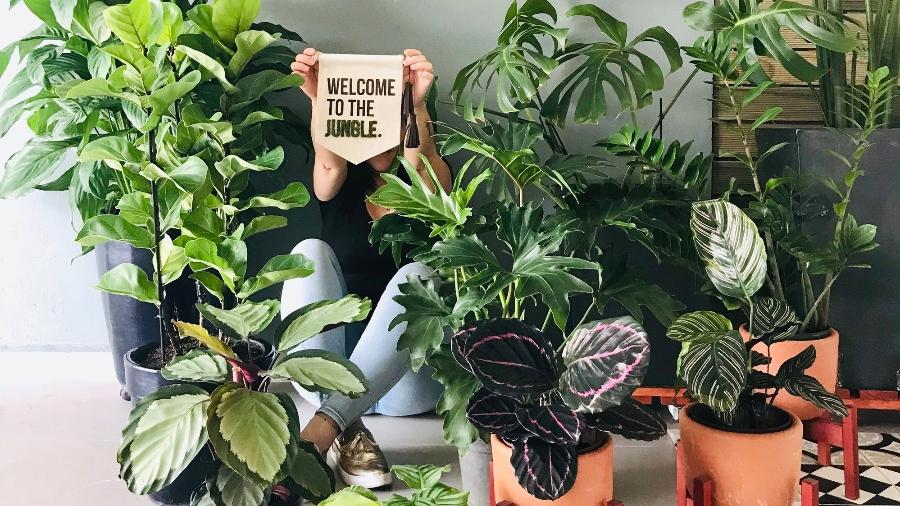 Canela no Jardim: Como Usar Esse Fungicida Natural - inspiração 3