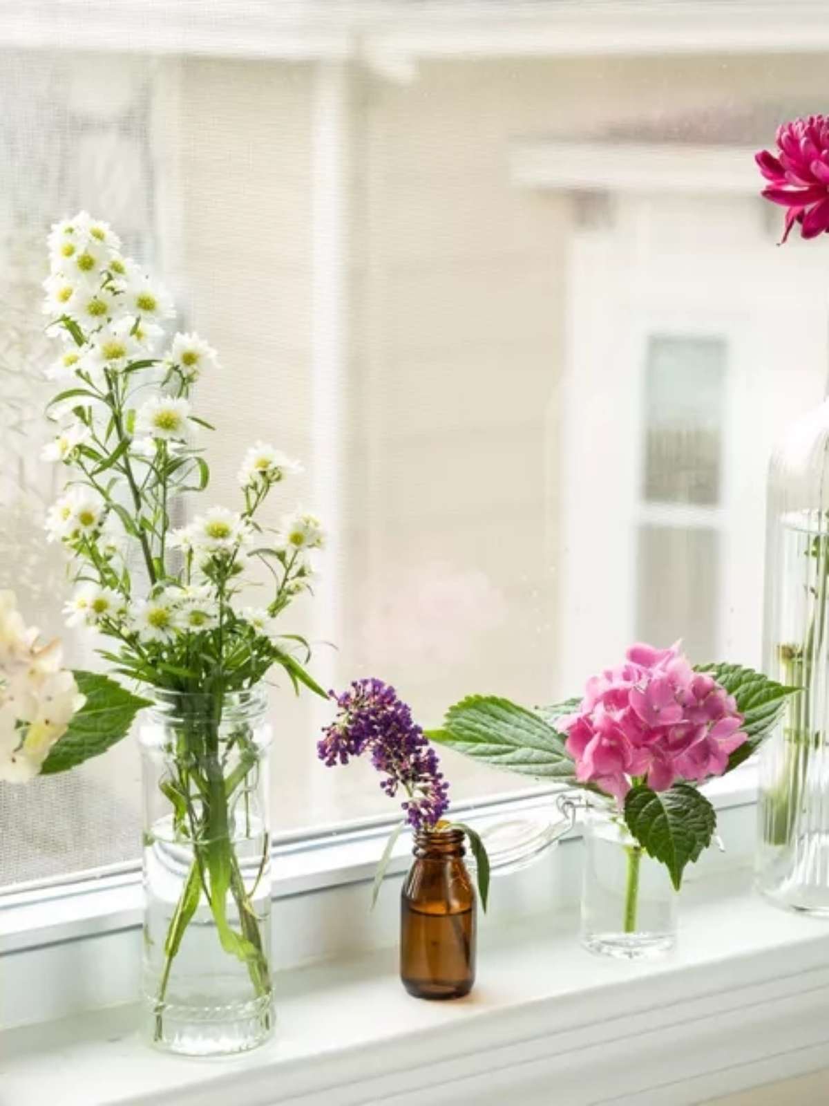 Miniestufa Caseira: Aumente as Chances de Enraizamento - inspiração 2