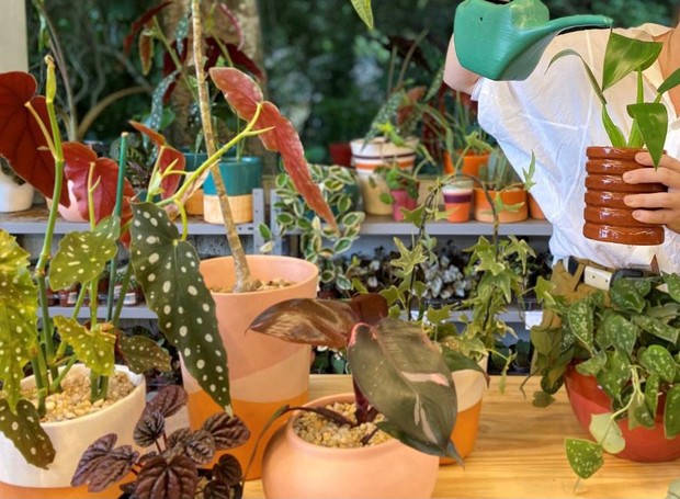 Dica 1: Domine o Teste do Dedômetro para Nunca Mais Errar na Rega - inspiração 1