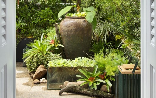 Dica 1: Domine o Teste do Dedômetro para Nunca Mais Errar na Rega - inspiração 2