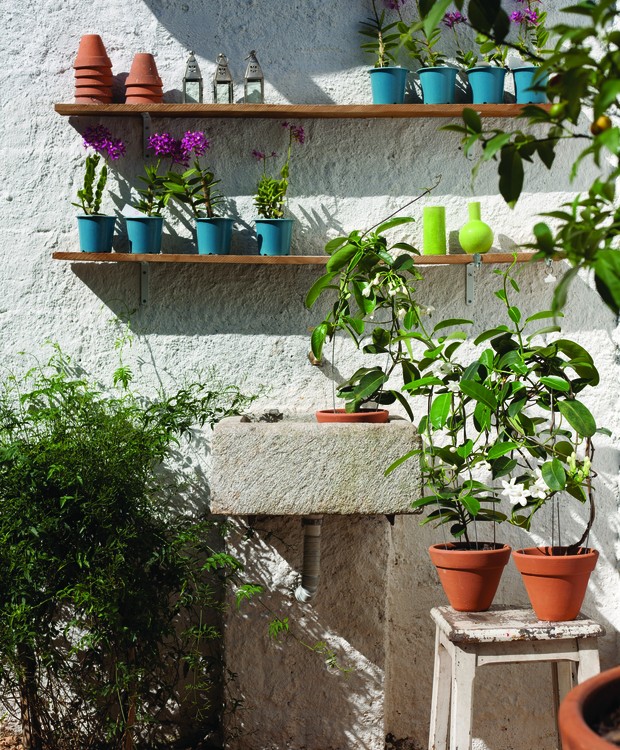 Dica 4: Atenção à Drenagem: O Segredo Para Evitar o Apodrecimento - inspiração 2