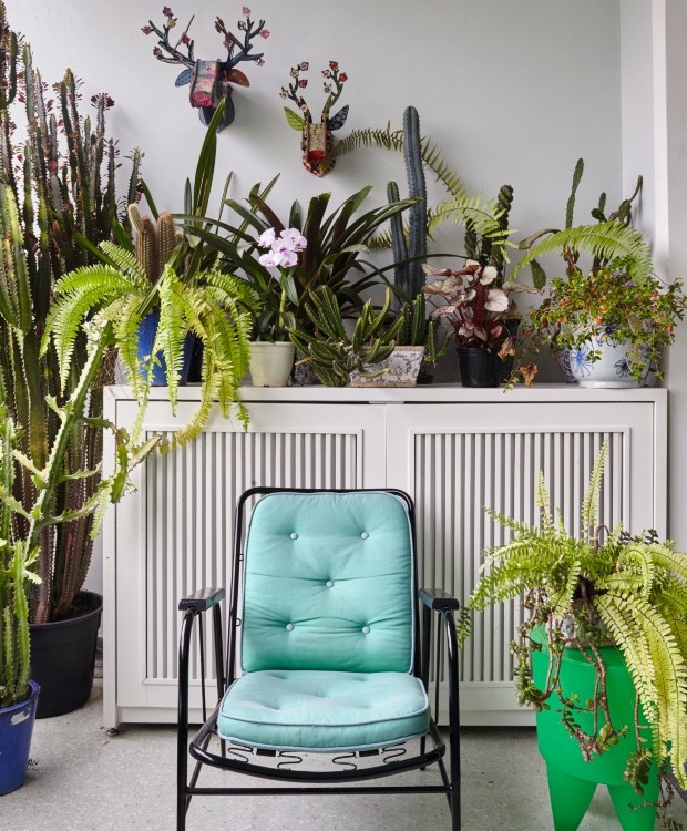 Dica 9: Adapte a Rega à Estação do Ano: Verão Sedento, Inverno Cauteloso - inspiração 3