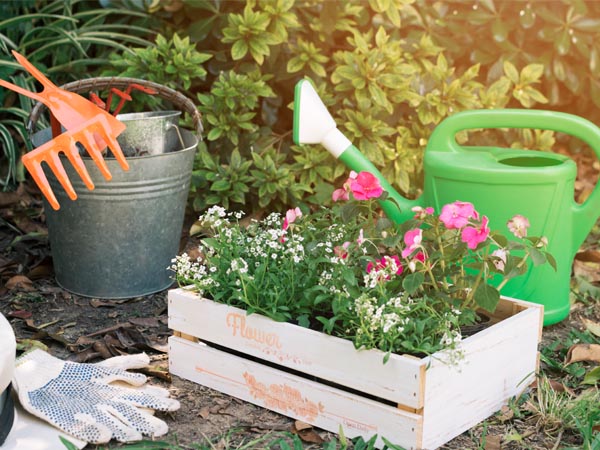 Crie um Espaço Zen com Elementos Naturais - inspiração 2