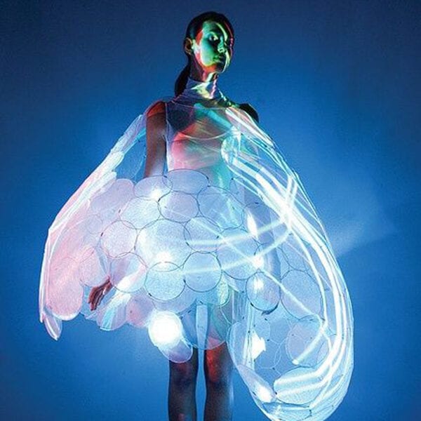 O Reinado do Algodão Orgânico - inspiração 1