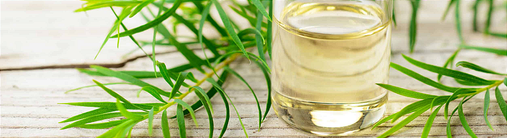 Dica #3: Óleo de Coco como Aliado – Uma Combinação Imbatível - inspiração 3