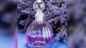 Lavanda Clássica: Phebo Água de Lavanda - inspiração 2