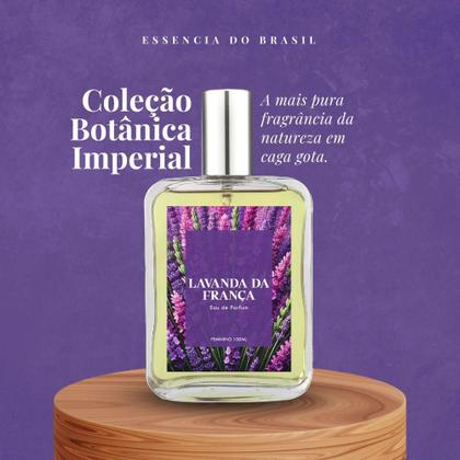 A Versatilidade da Lavanda Cítrica - inspiração 1