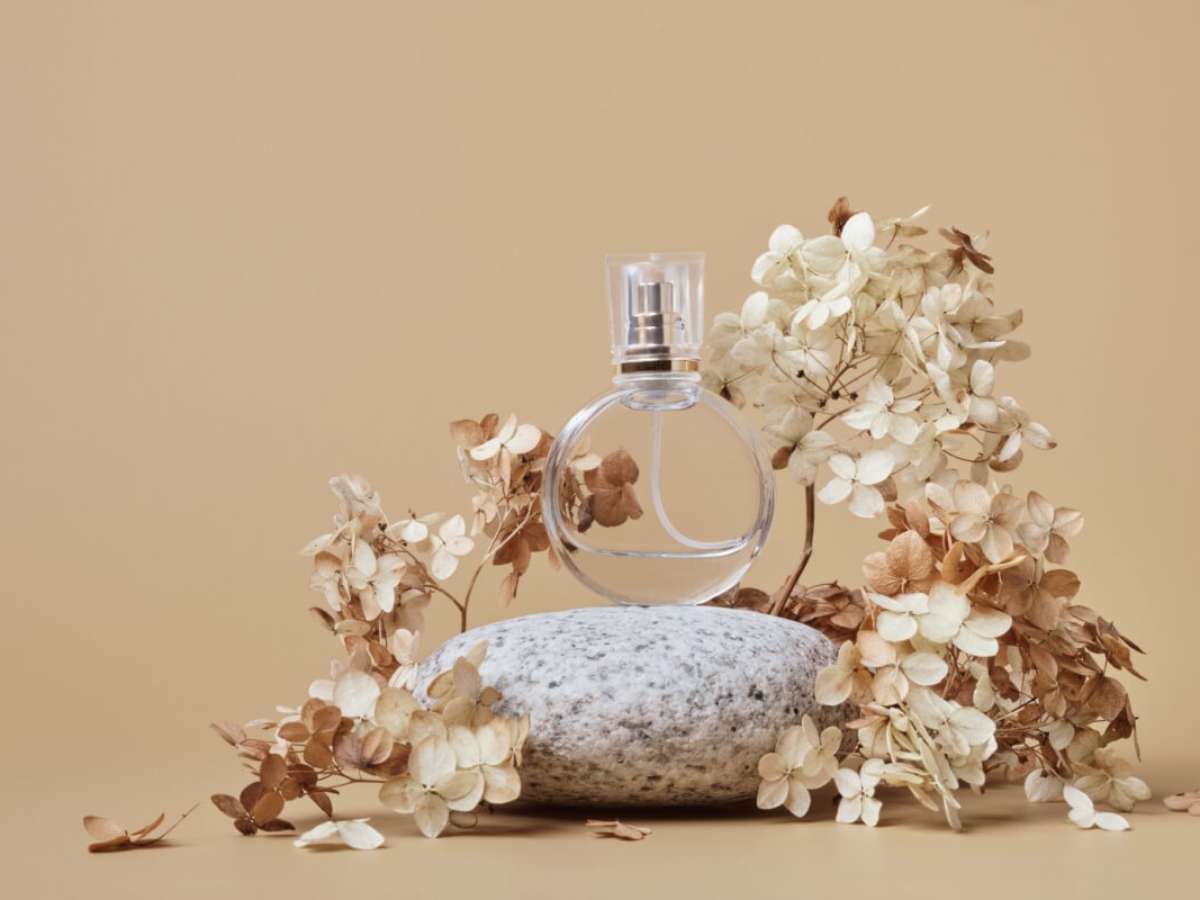 Notas Aquáticas: Uma Brisa Refrescante - inspiração 1