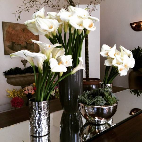 Copo de Leite em Ambientes Internos: Dicas de Decoração - inspiração 2