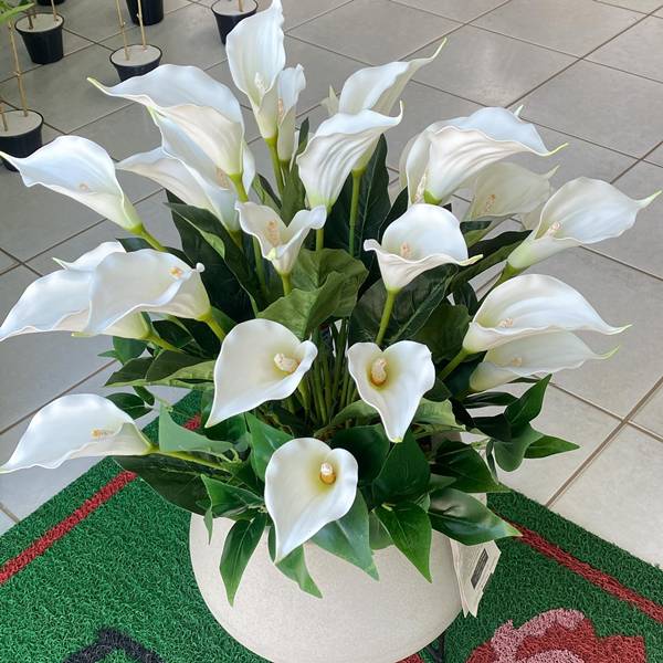 Prepare o Substrato dos Sonhos: Drenagem Impecável - inspiração 1