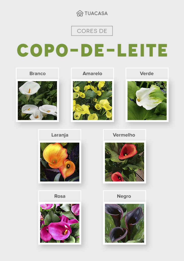 A Dança da Luz: Encontre o Ponto de Equilíbrio - inspiração 1