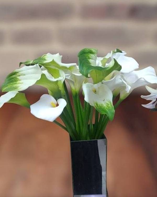 Nutrição Inteligente: Adubação na Medida Certa - inspiração 3