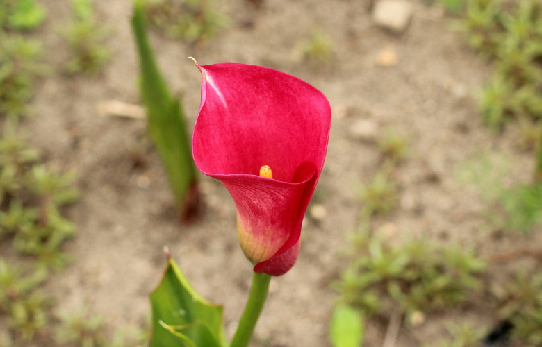 Proteção no Inverno: Amenize os Dias Mais Frios - inspiração 3