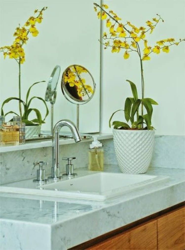 Samambaia: Um Clássico Revigorado Para Banheiros Espaçosos - inspiração 1