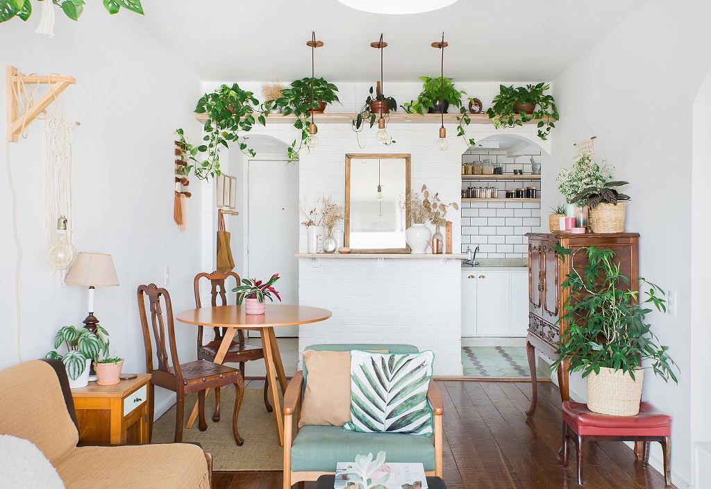 Zamioculca: Elegância e Facilidade em Uma Só Planta - inspiração 3