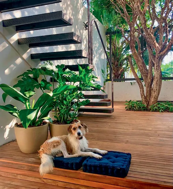 Orquídeas: Sofisticação Segura para Seus Amores - inspiração 3