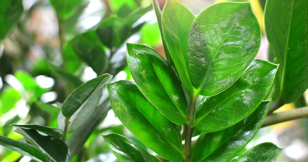 Prevenção é Tudo: Crie uma Rotina de Cuidados Eficaz - inspiração 1