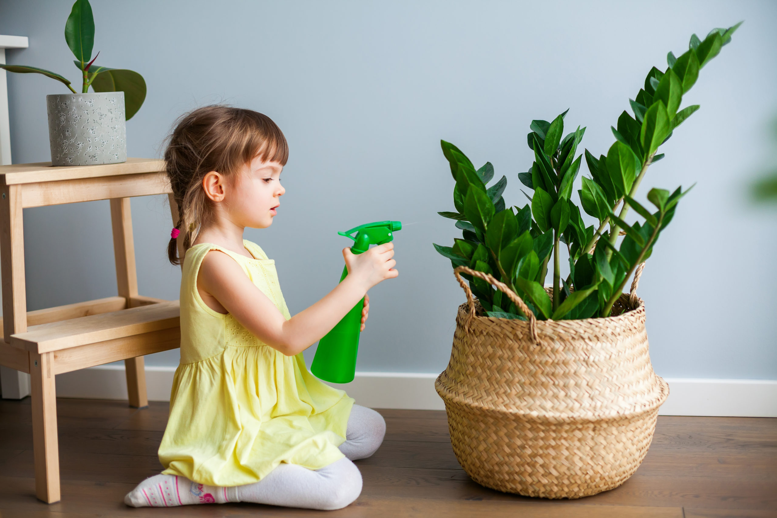 Drenagem Perfeita: O Segredo Para um Vaso Feliz - inspiração 1