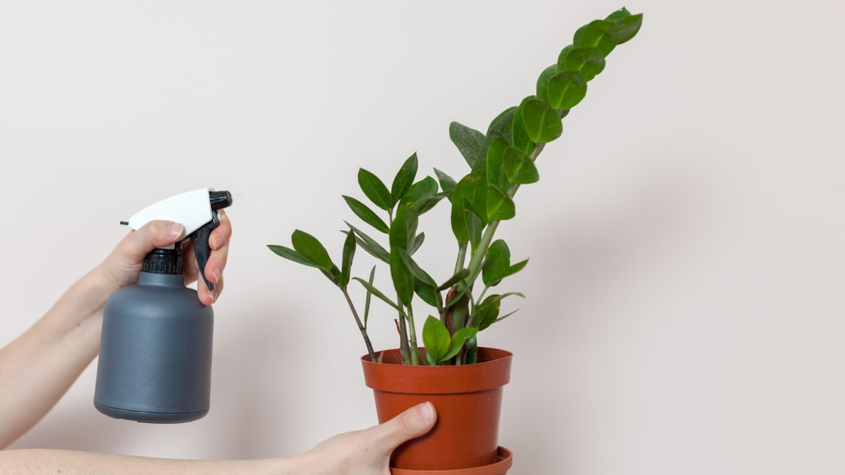 Iluminação Adequada: Encontre o Ponto de Equilíbrio - inspiração 3