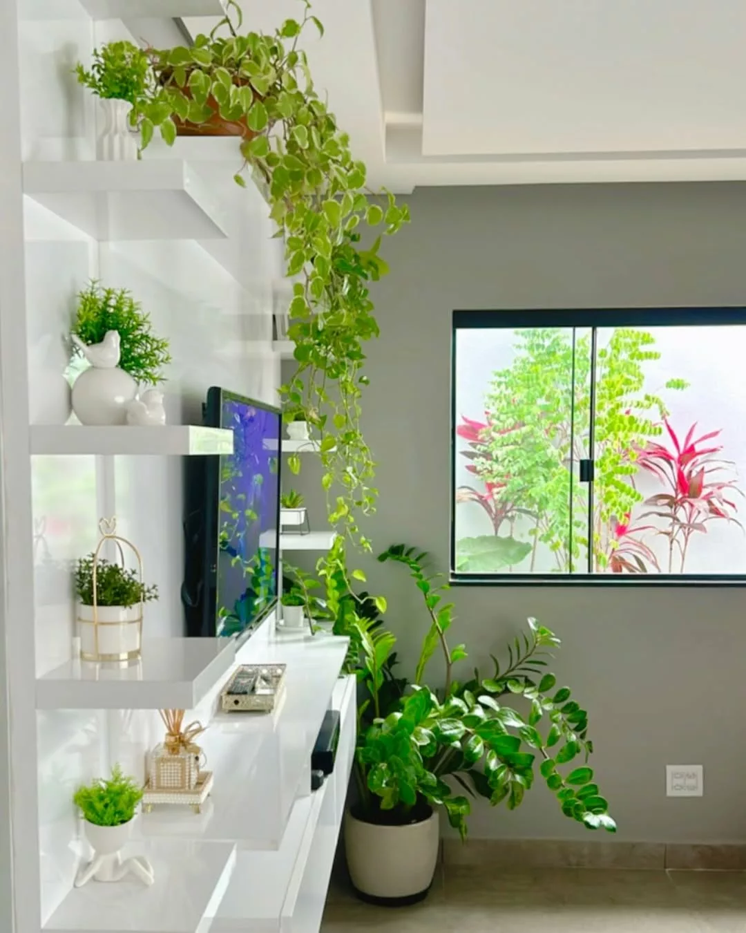 Adubação Inteligente: Nutrição Sem Exageros - inspiração 1