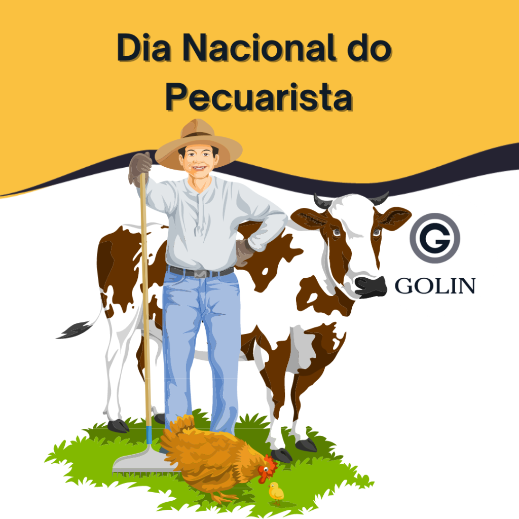 Utilidades Domésticas com Toque Country: Praticidade e Charme - inspiração 2