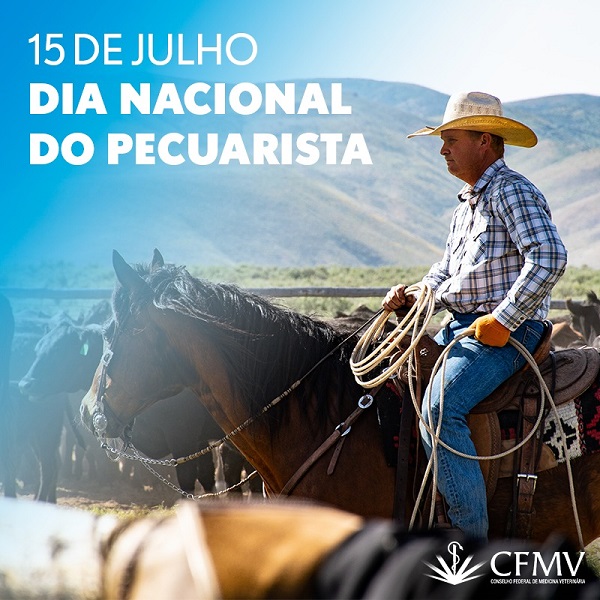 Pequenos Mimos para Presentear: Carinho Feito à Mão - inspiração 1