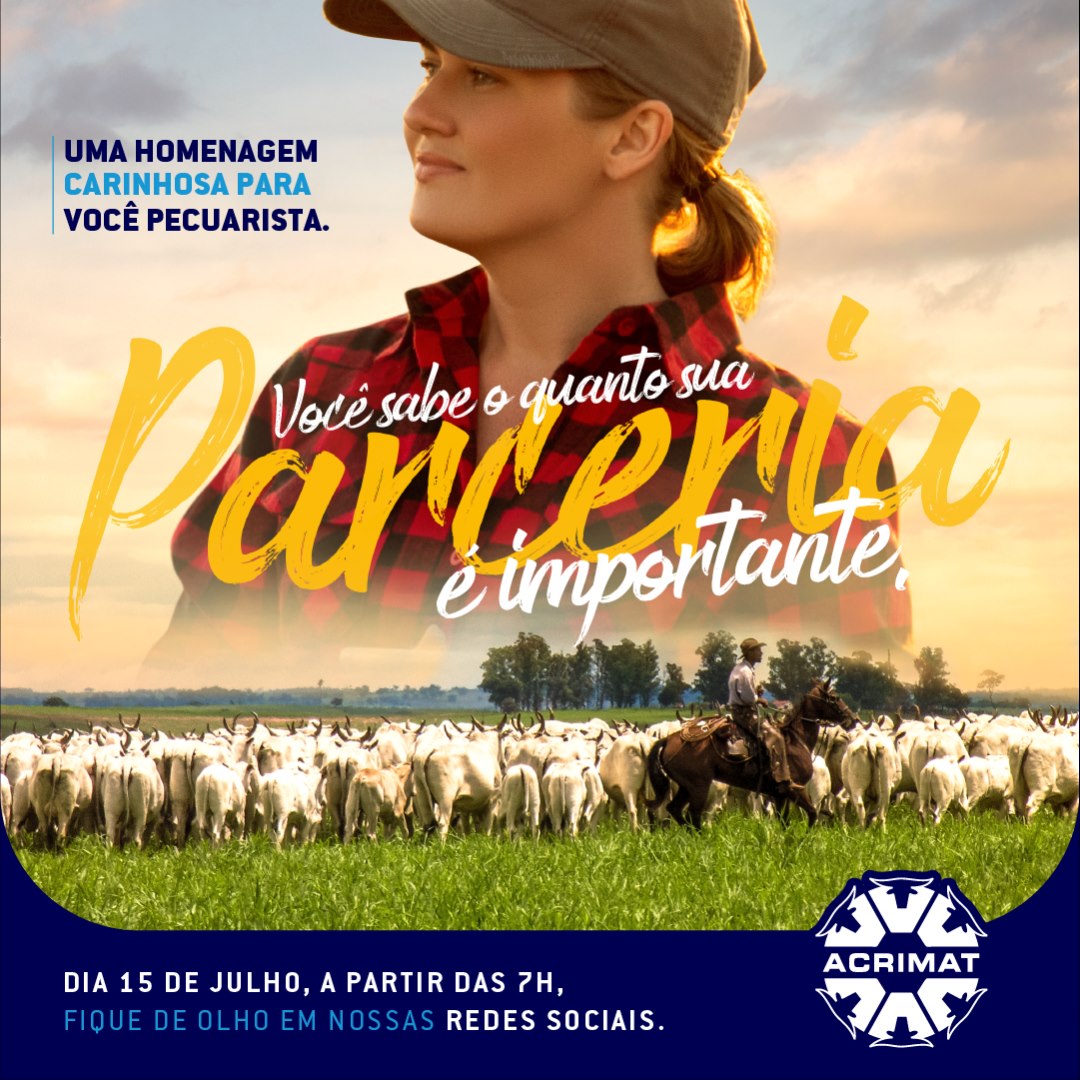 Iluminação Aconchegante: Luzes que Contam Histórias do Campo - inspiração 2