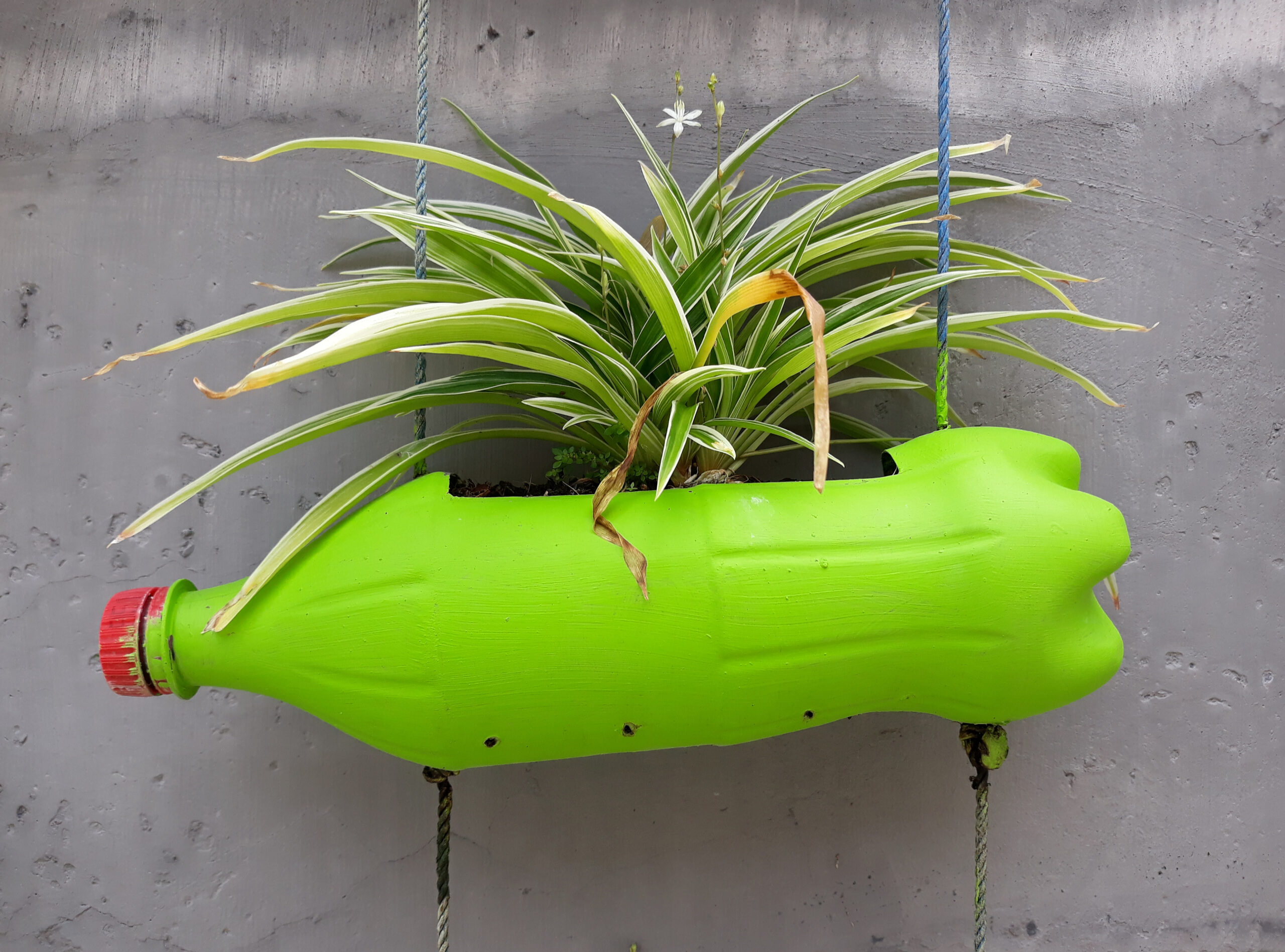 Acessórios de Moda que Expressam seu Estilo Consciente - inspiração 1