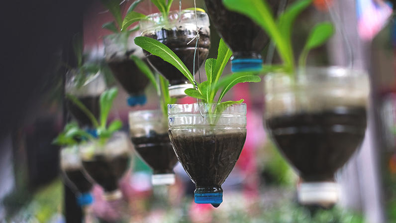 Kits de Jardinagem para Ter Seu Próprio Cantinho Verde - inspiração 2