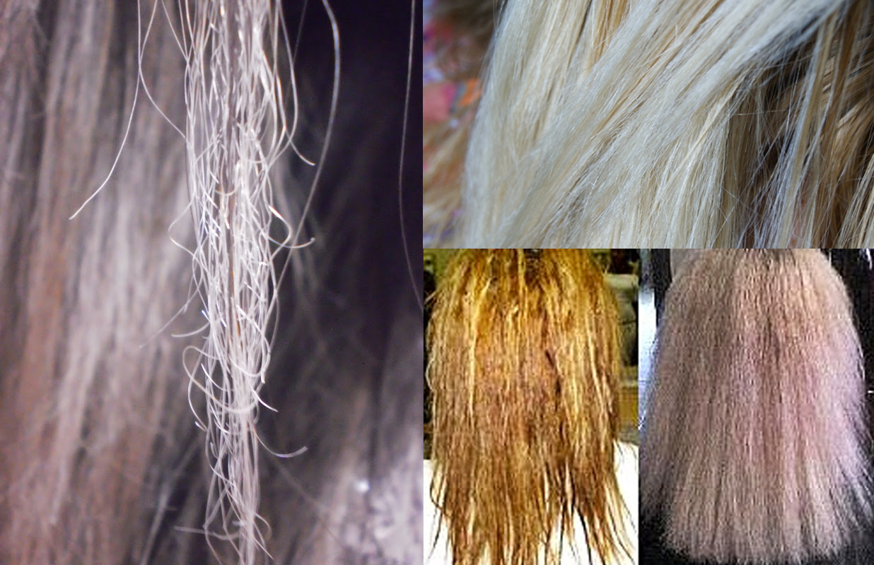 Os principais vilões por trás da elasticidade capilar - inspiração 1