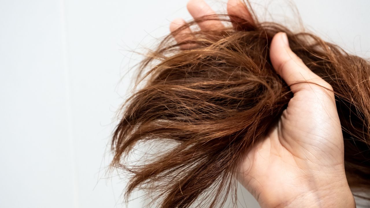 Nutrição que Transforma: O Poder dos Óleos Vegetais e Manteigas - inspiração 1