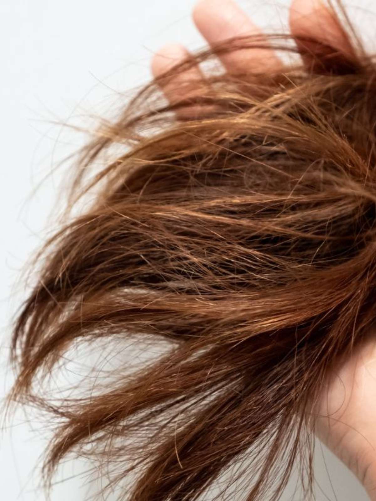 Rotina Capilar Inteligente: Alternando os Tratamentos na Medida Certa - inspiração 1