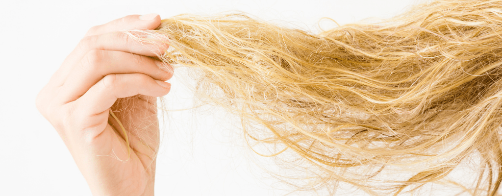 Shampoo e Condicionador: A Dupla Que Pode Ajudar (ou Prejudicar) - inspiração 2