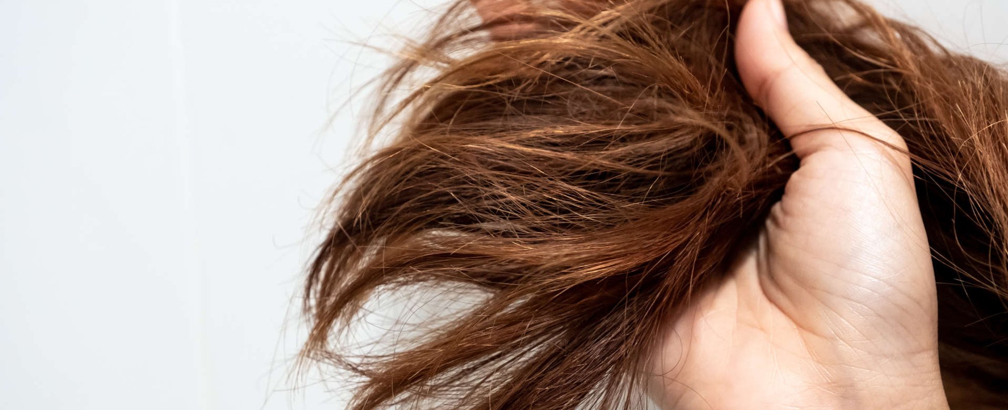 Cortes Estratégicos: Remova o Danificado e Reviva as Pontas - inspiração 1