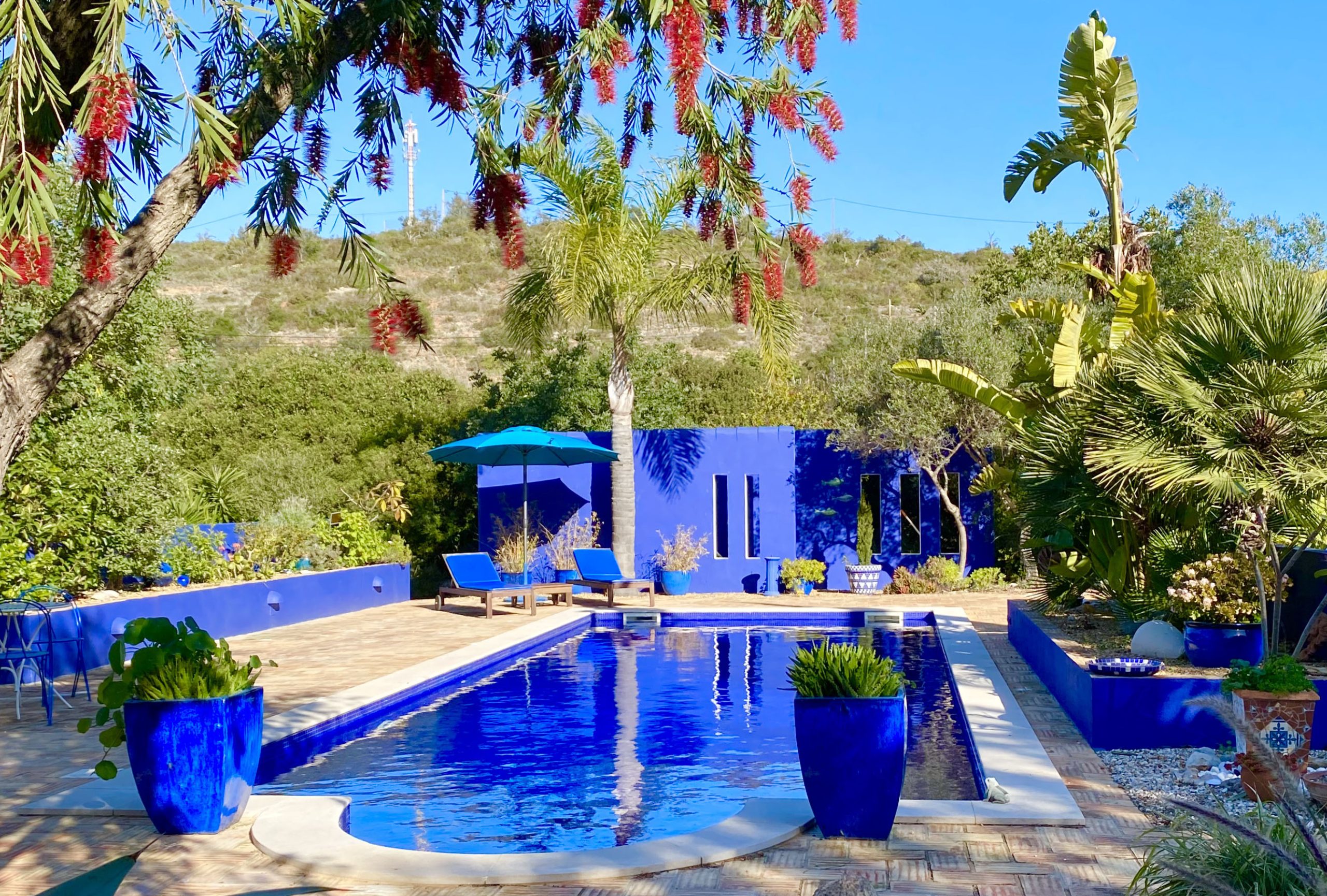 Escolhendo as Plantas Ideais para Cada Ambiente - inspiração 1