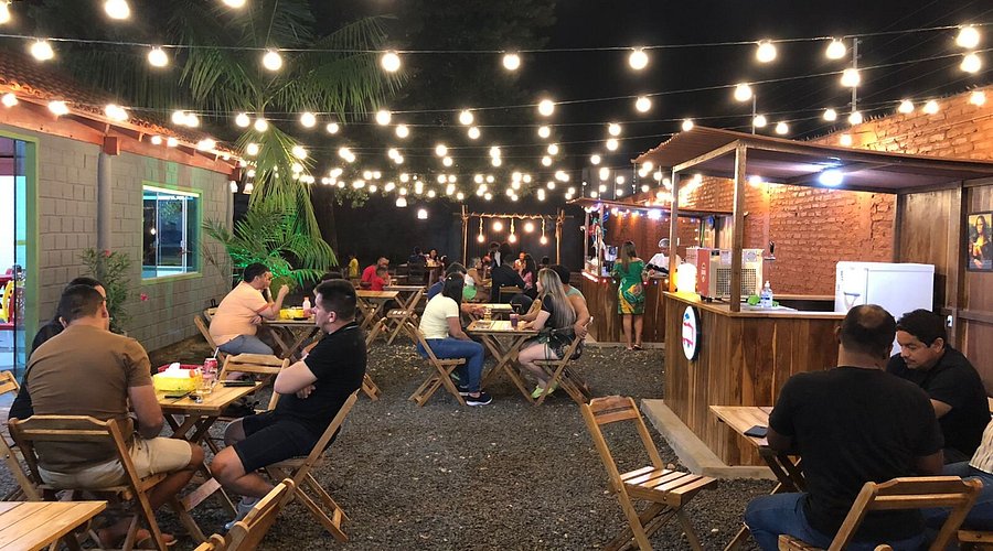 Escolhendo as Plantas Ideais para Cada Ambiente - inspiração 2