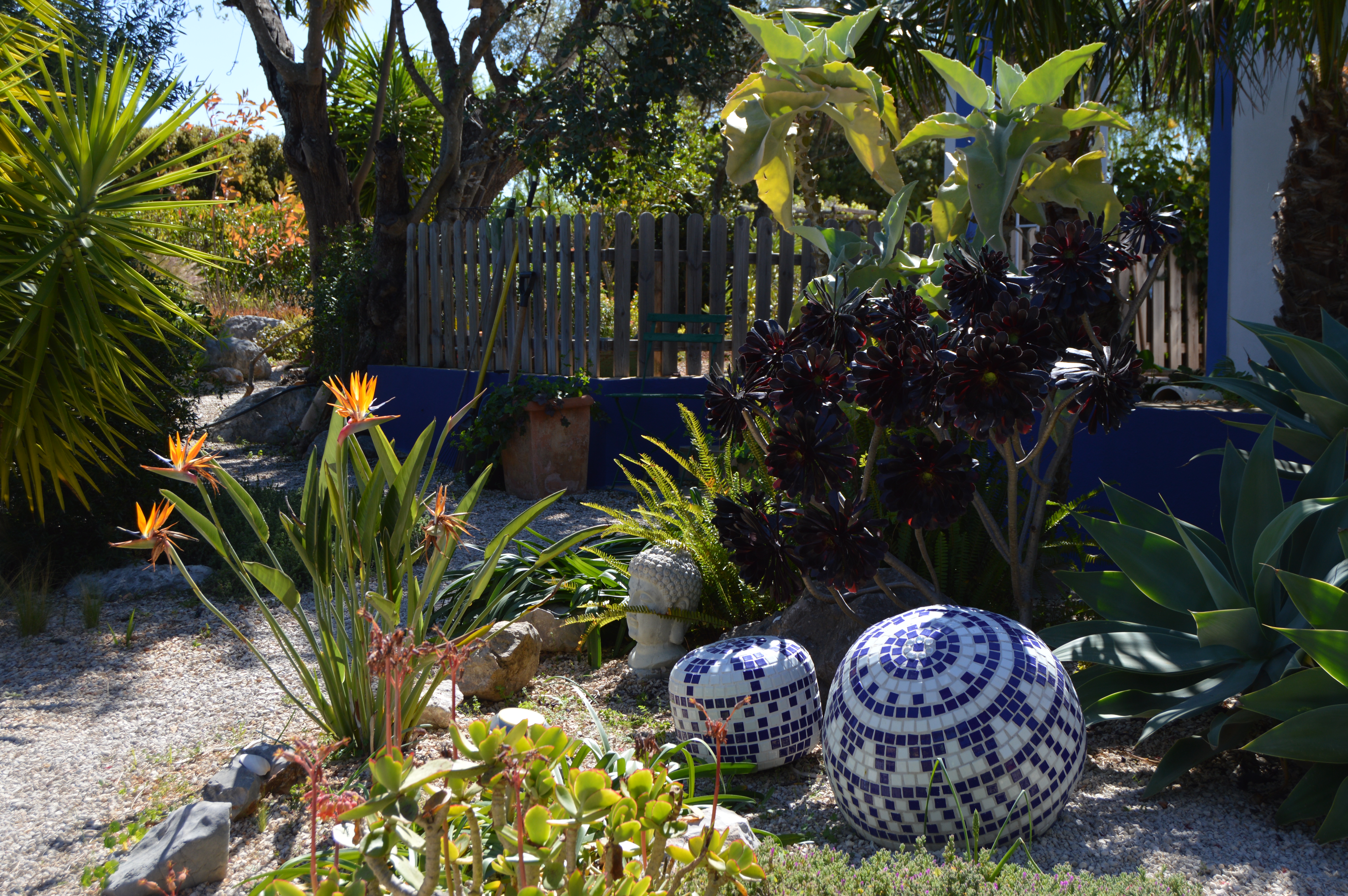 Como Combinar Plantas e Decoração para um Lar Harmonioso - inspiração 1