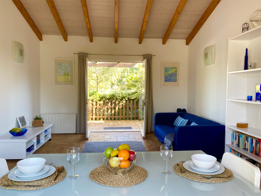 O Poder das Plantas na Purificação do Ar - inspiração 1