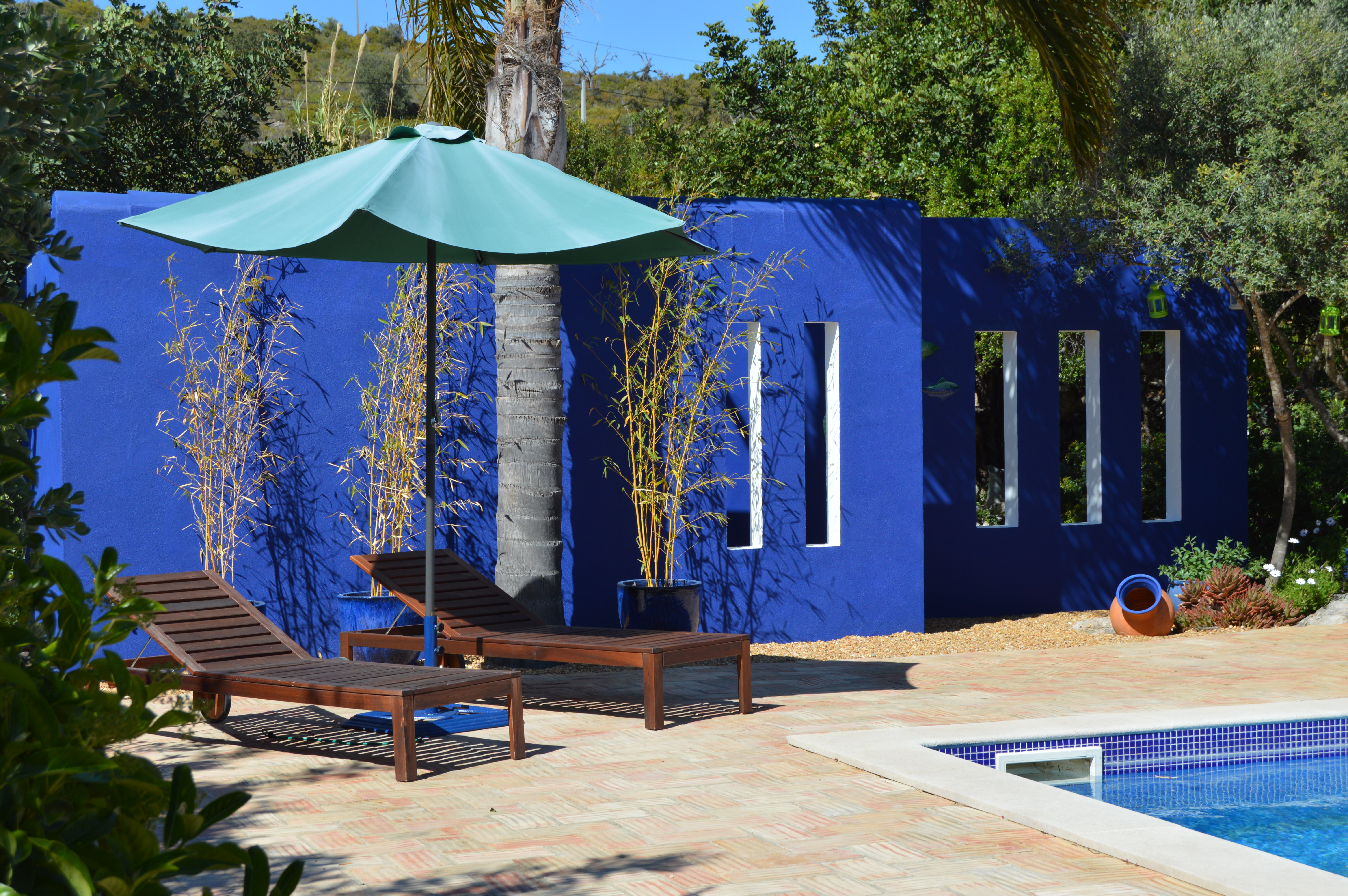 O Poder das Plantas na Purificação do Ar - inspiração 2