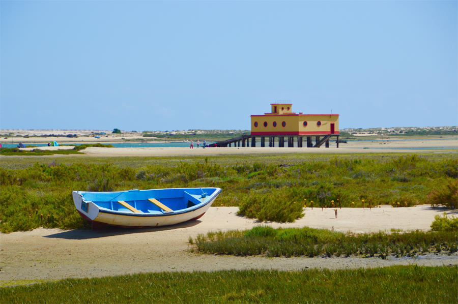 Criando um Mini-Horto em Vasos na Cozinha - inspiração 2
