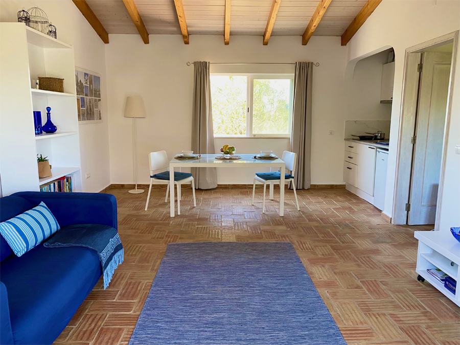 Vasos e Cachepôs: Detalhes que Fazem Toda a Diferença - inspiração 2