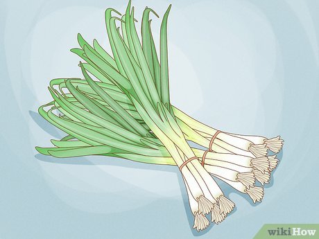 Replantando e Mantendo Sua Cebolinha Sempre Produtiva - inspiração 2