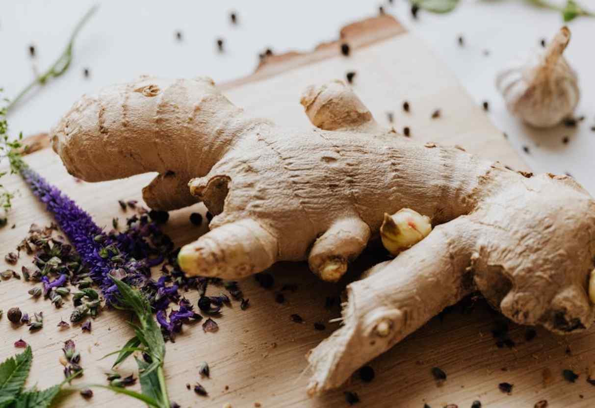 Rega: A Quantidade Certa Para um Crescimento Saudável - inspiração 1