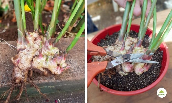 Acompanhando o Desenvolvimento: O Que Esperar a Cada Fase - inspiração 1