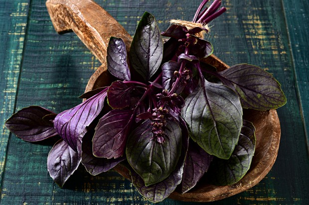 O Momento Certo de Plantar: Sol e Temperatura Ideais - inspiração 1