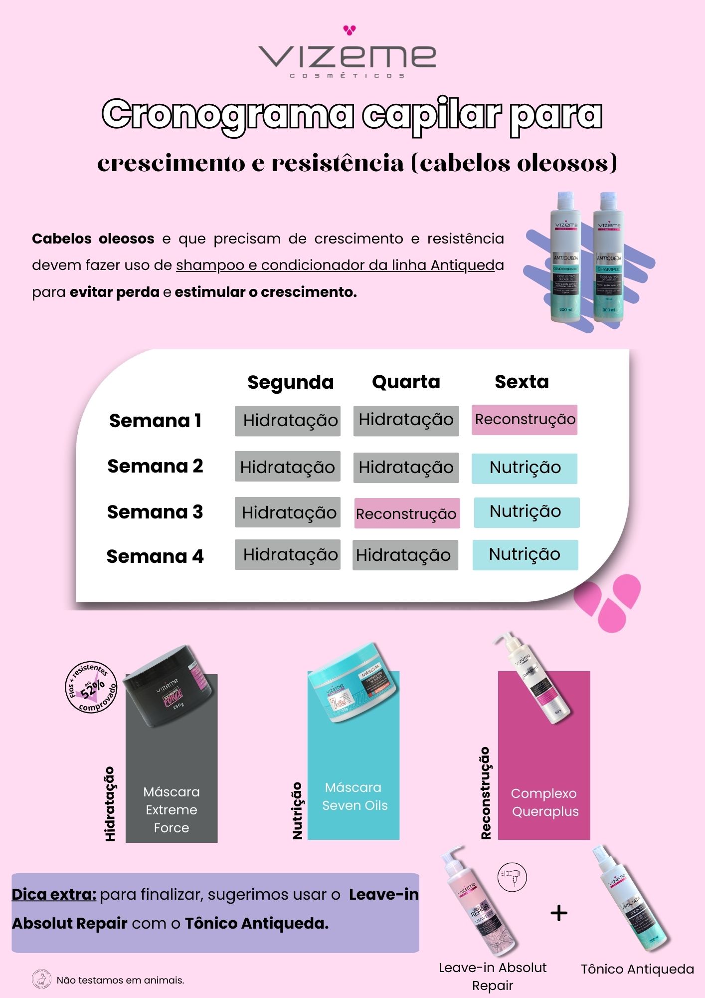 Produtos Chave para Cada Etapa do Cronograma - inspiração 2